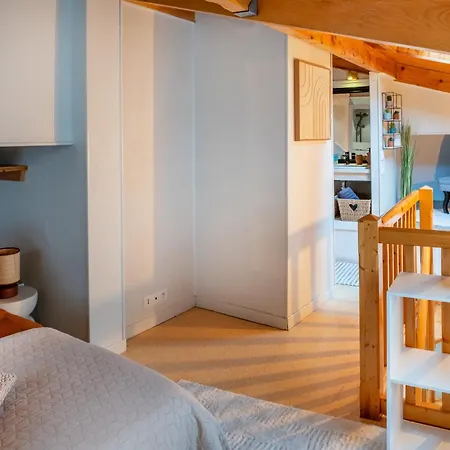 Le Duplex De L'hotel De Lourdes